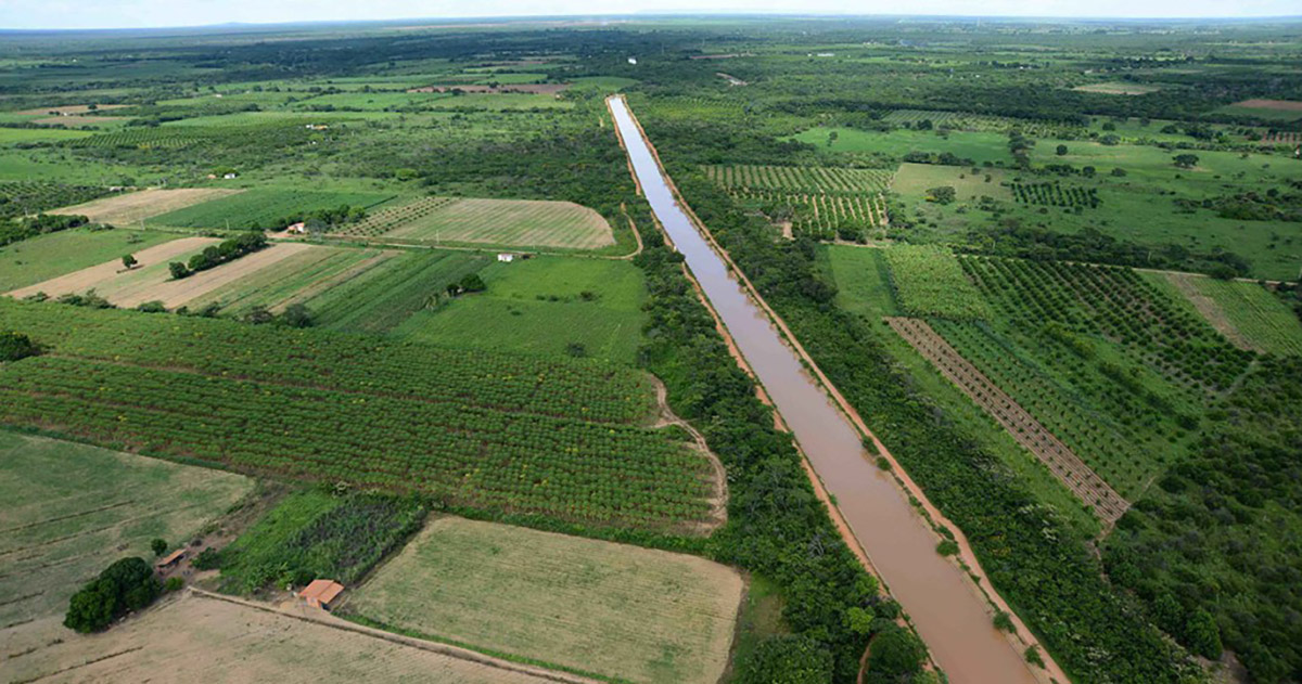 TMG dobra capacidade de produção de cultivares com o uso de tecnologia