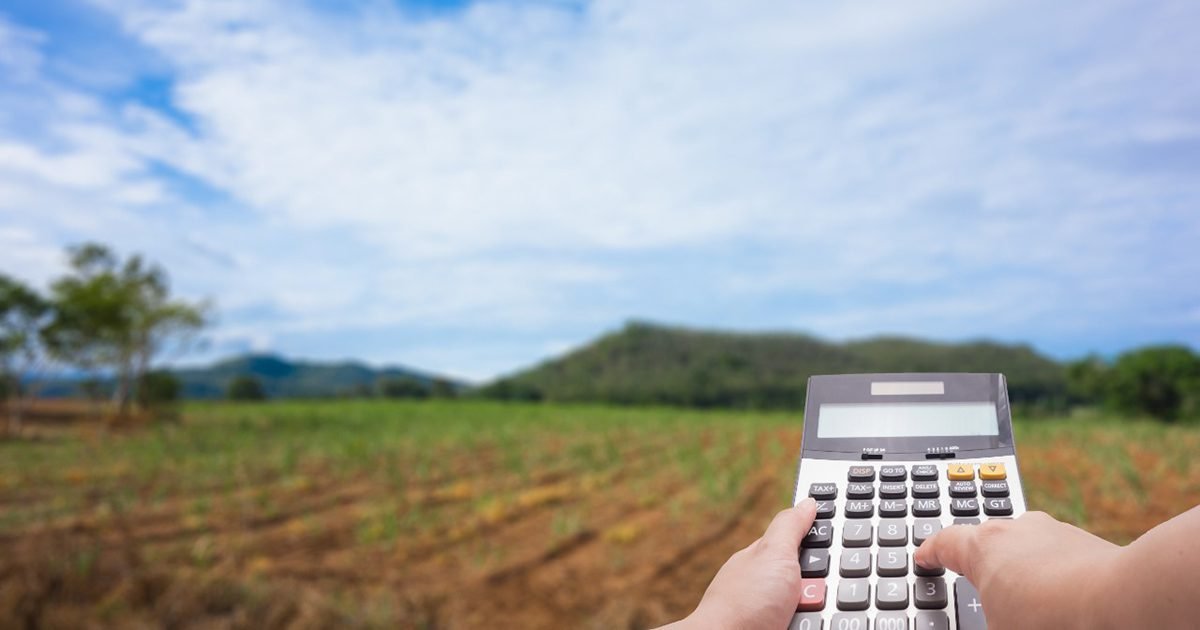 Empresas de agronegócio perdem eficiência por falta de gestão tributária