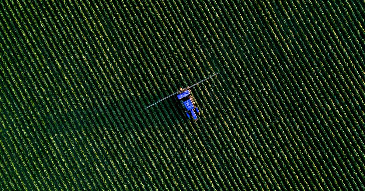 Como a inteligência de dados está transformando a agricultura