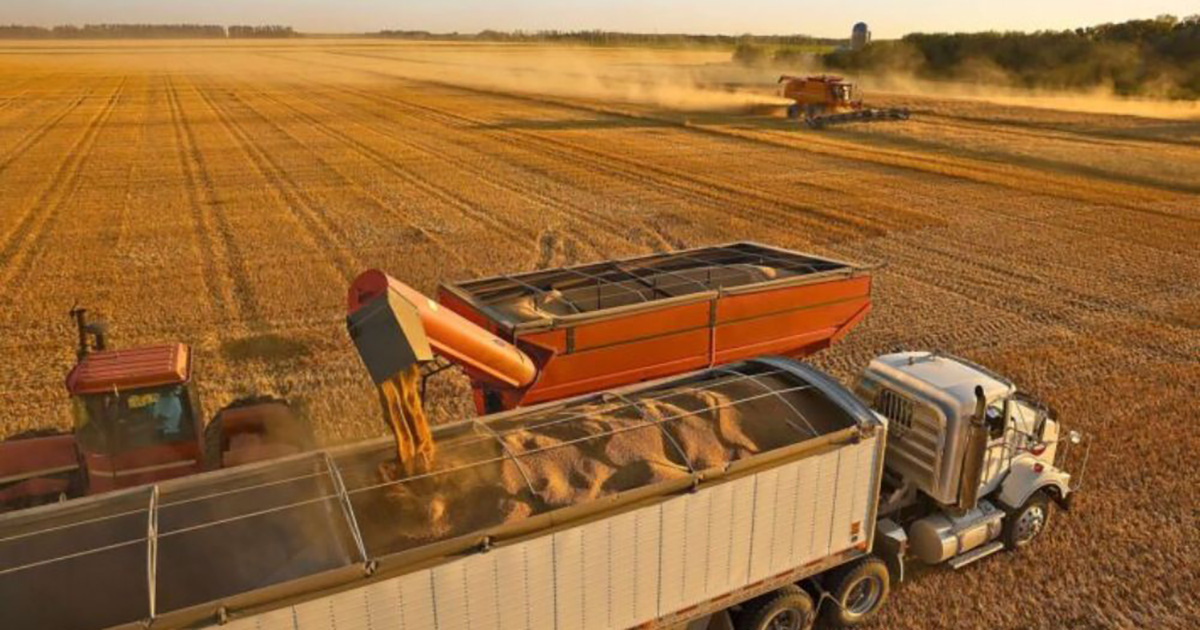YMS: vantagens e funcionalidades da tecnologia na logística de grãos e fertilizantes