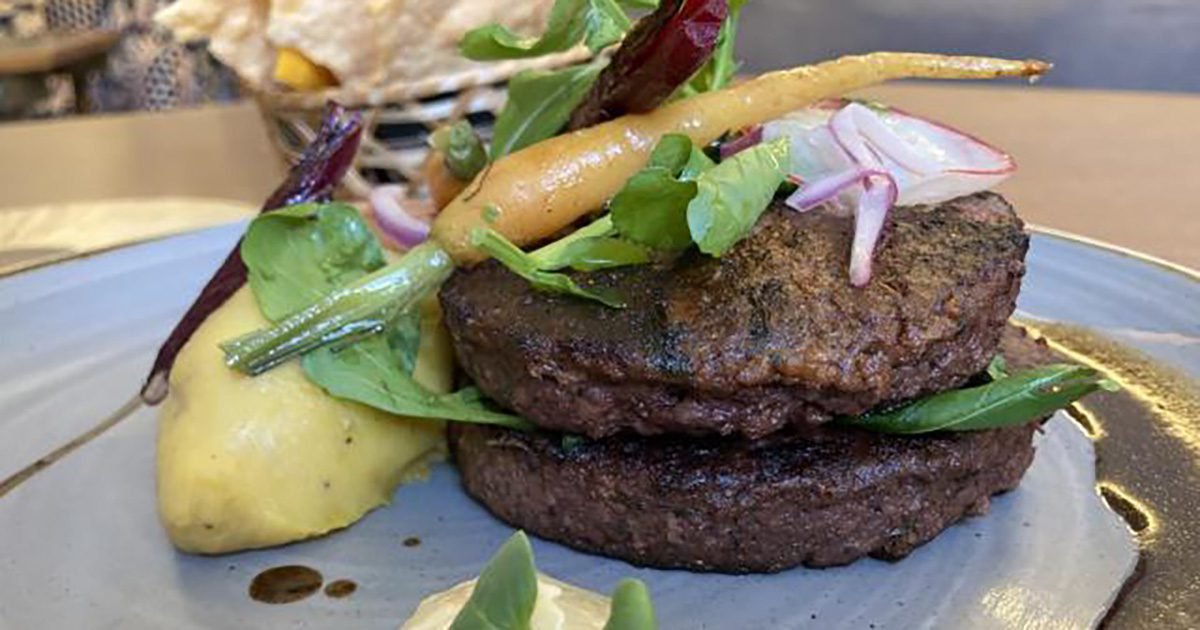 Plant-based: o alimento que parece carne, mas é 100% vegetal estará no estande da Embrapa na ANUGA 2024