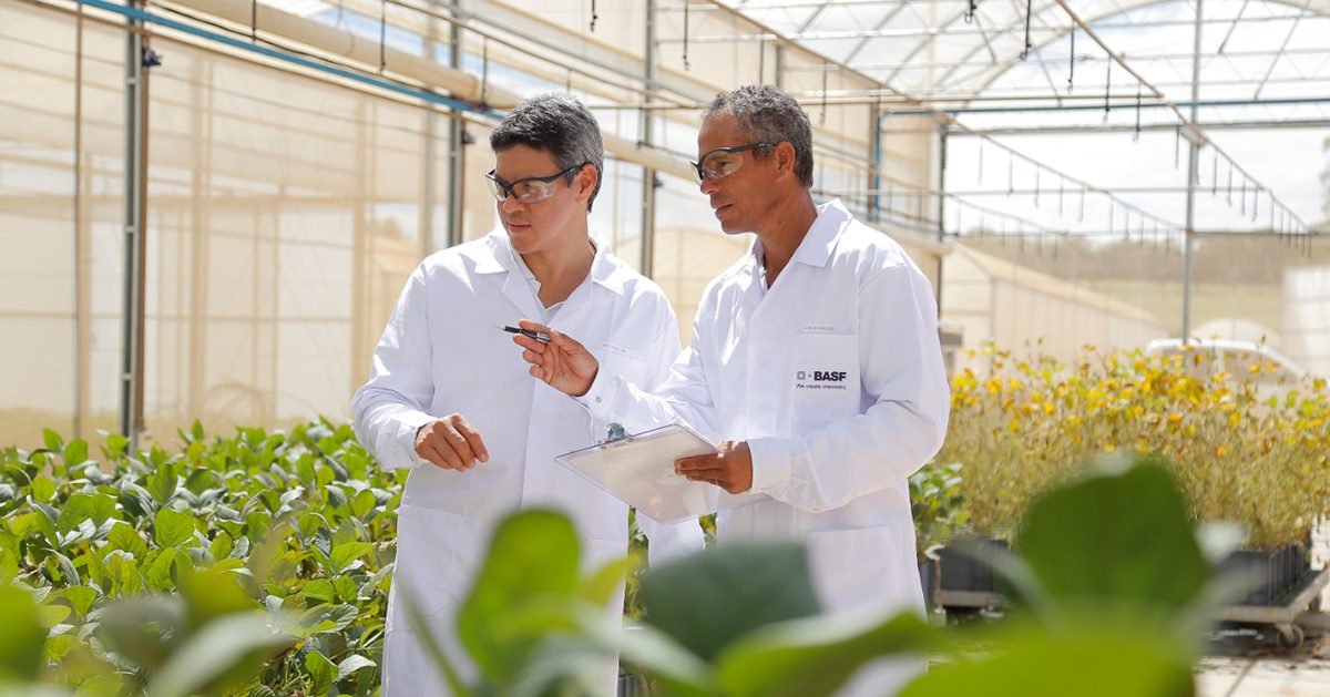 BASF lança linha de bioadjuvantes que aumenta a eficiência de defensivos biológicos