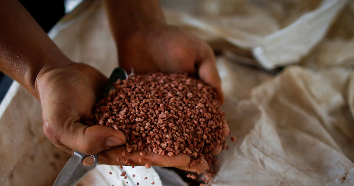 Índice de Poder de Compra de Fertilizantes registra melhora e indica momento de compra para o produtor