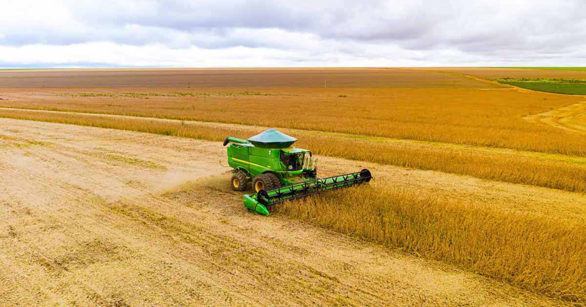 Conab estima produção em 295,45 milhões de toneladas após ajuste na área de soja e milho