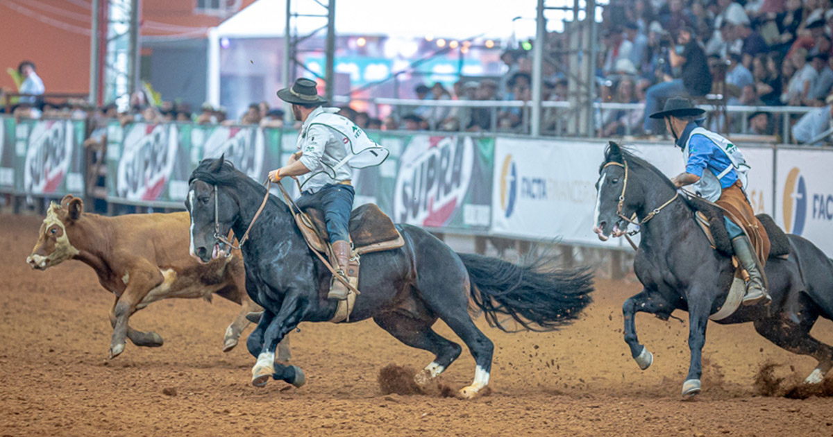 Cavalo Crioulo redefine calendário de provas após enchentes no Rio Grande do Sul