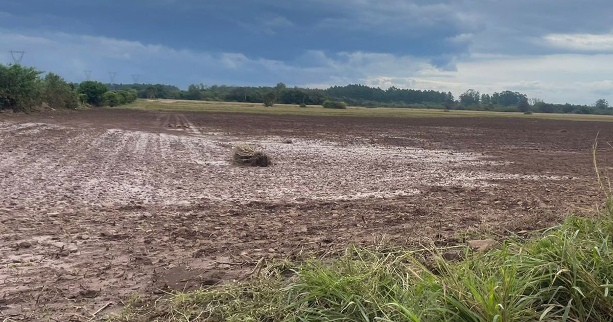 Impactos das inundações no RS: solo, agricultura e infraestrutura