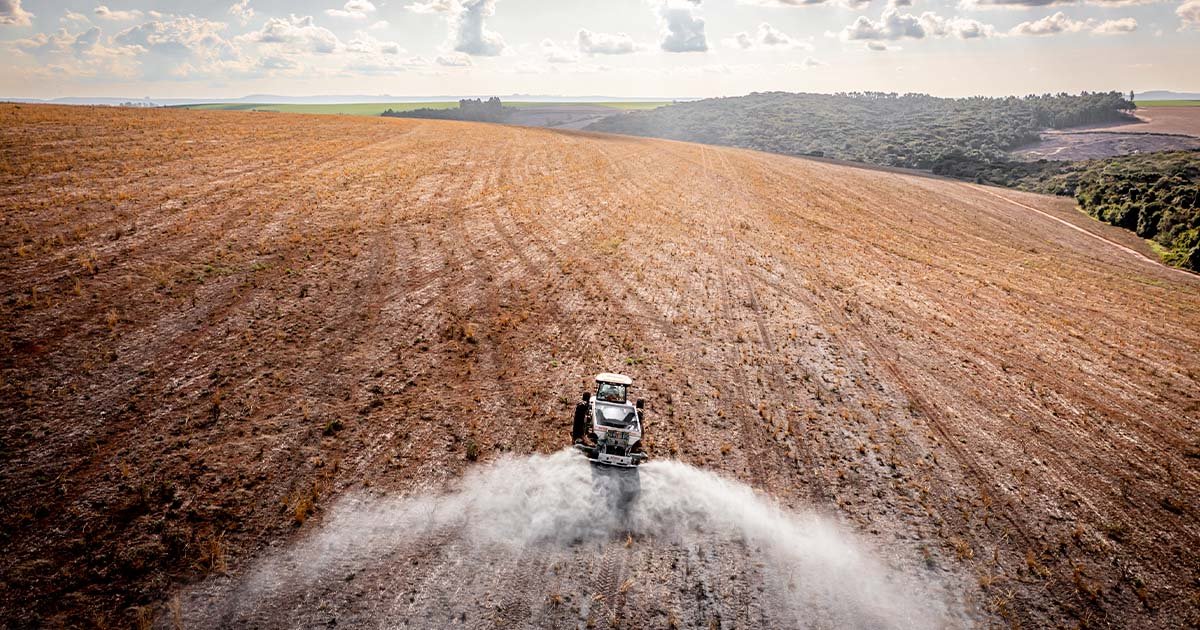 Calcário e gesso formam a dupla ideal para aumentar a produtividade e diminuir o tempo de manejo