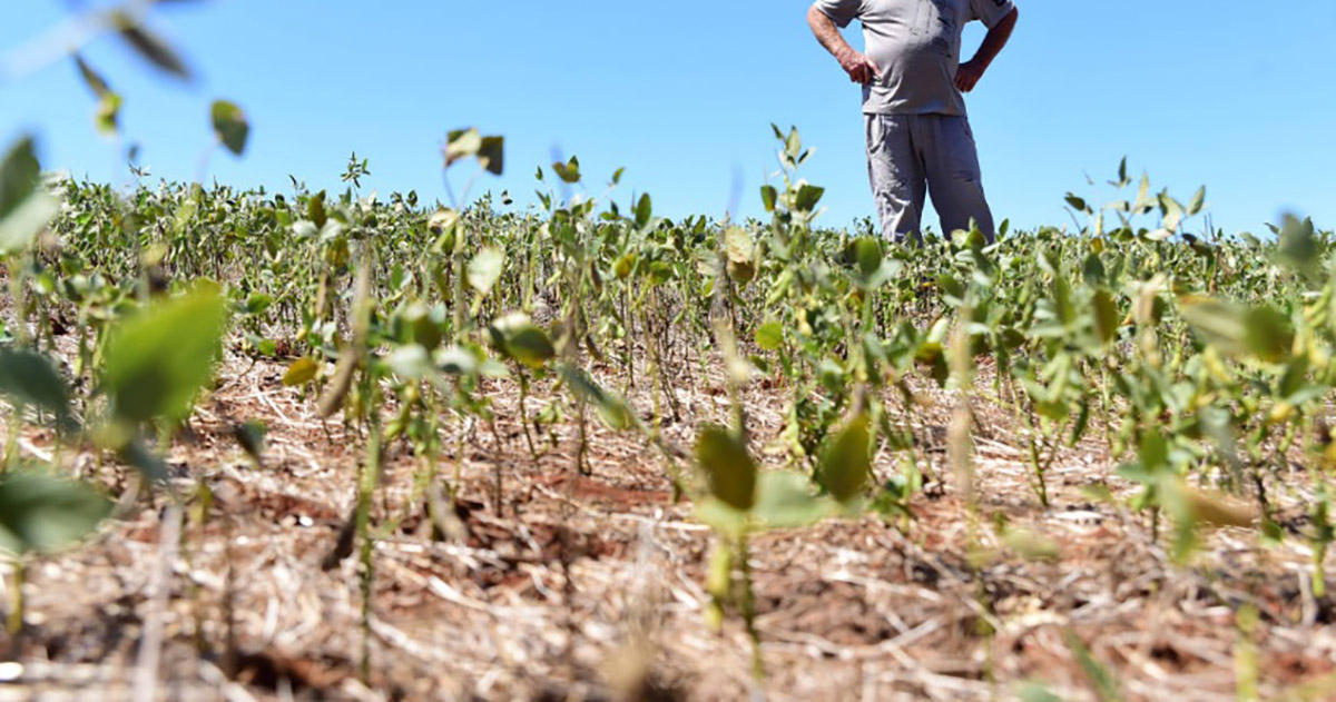 Produtores devem se preparar para impactos do fenômeno climático La Niña nas lavouras do país