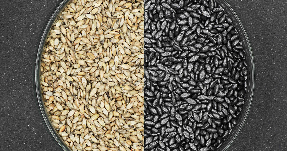 Qualidade do tratamento de sementes forrageiras e sua influência na produtividade e lucratividade da pastagem