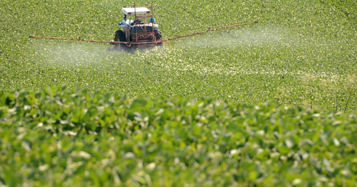 Retrabalho, Revalidação e Reprocesso de Defensivos Agrícolas