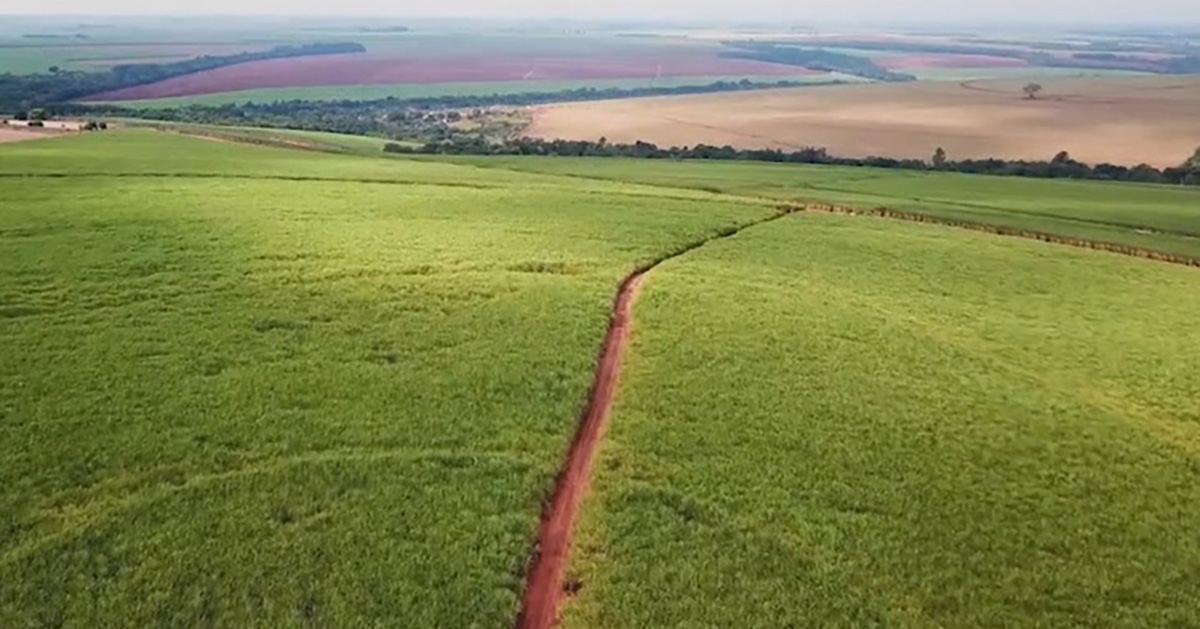 Manejo microbiológico do solo maximiza recursos e resiliência climática 