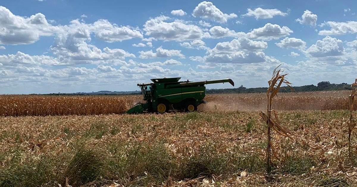 Falta de chuvas no Rio Grande do Sul acende alerta aos produtores