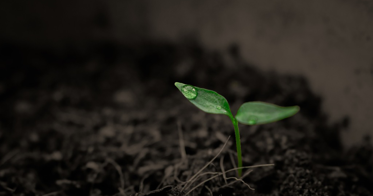 Recuo no Green Deal Europeu e os impactos no agronegócio brasileiro