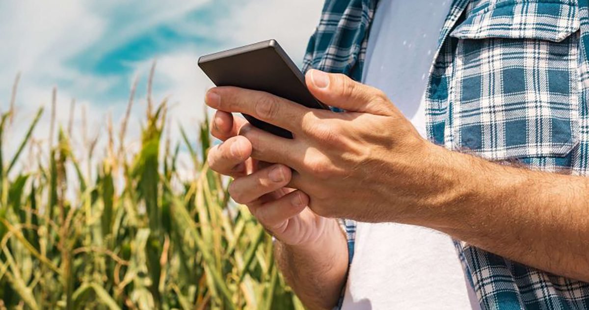 IoT permite que agricultores monitorem condições ambientais e antecipem riscos potenciais