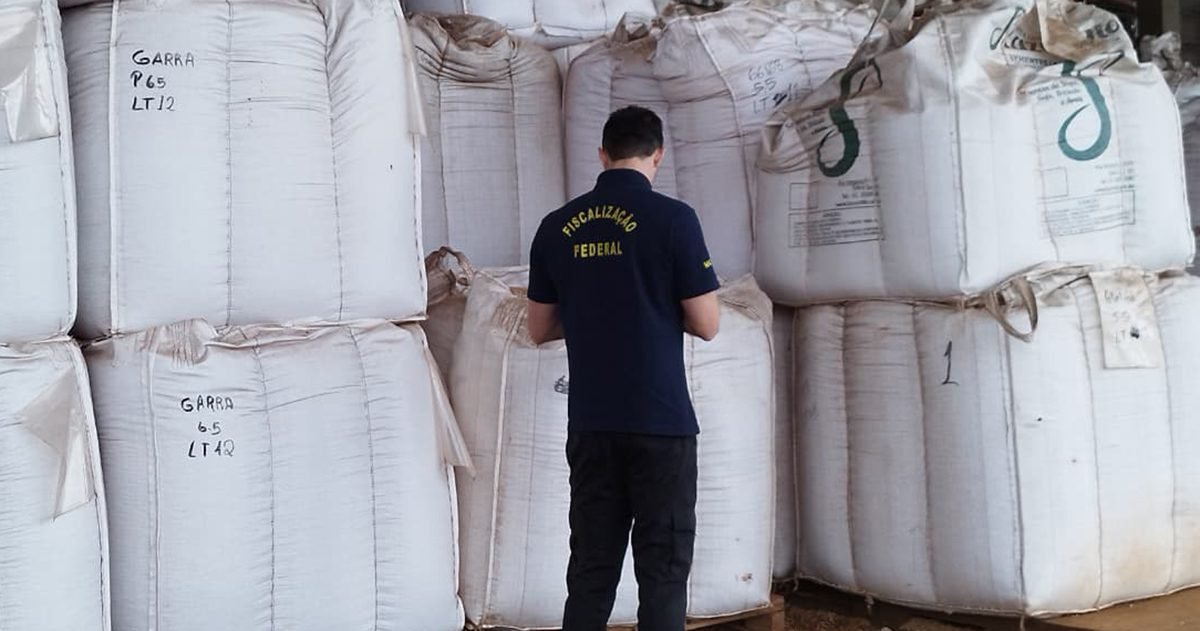 Auditores fiscais federais agropecuários apreendem 3 mil toneladas de sementes irregulares