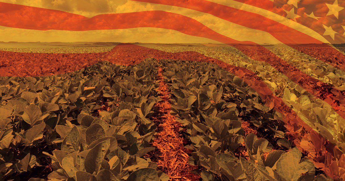 O Tarifaço e a encruzilhada do agro brasileiro