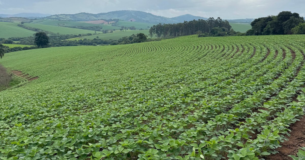 Saúde do solo: o próximo salto de produtividade da agricultura brasileira