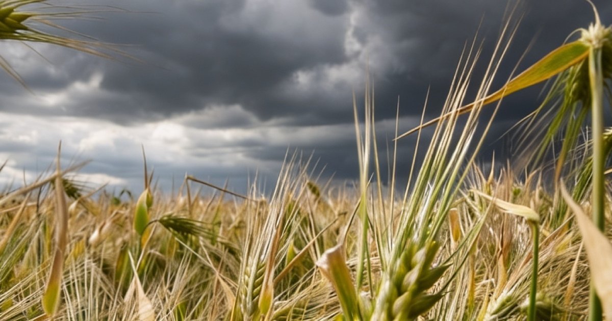 Estamos preparados para esperar o El Niño?